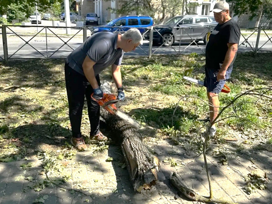 Депутаты помогают горожанам убирать поваленные деревья