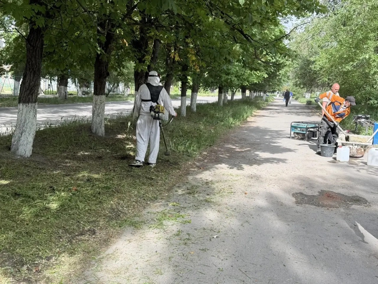 Депутат организовала покос травы на ул им. С.В. Мацоты