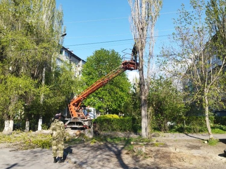 В избирательном округе №6 продолжается ликвидация опасных деревьев В избирательном округе №6 продолжается ликвидация опасных деревьев